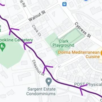 Map detail showing the Lincoln bike bus route drawn in purple along Chestnut Street.